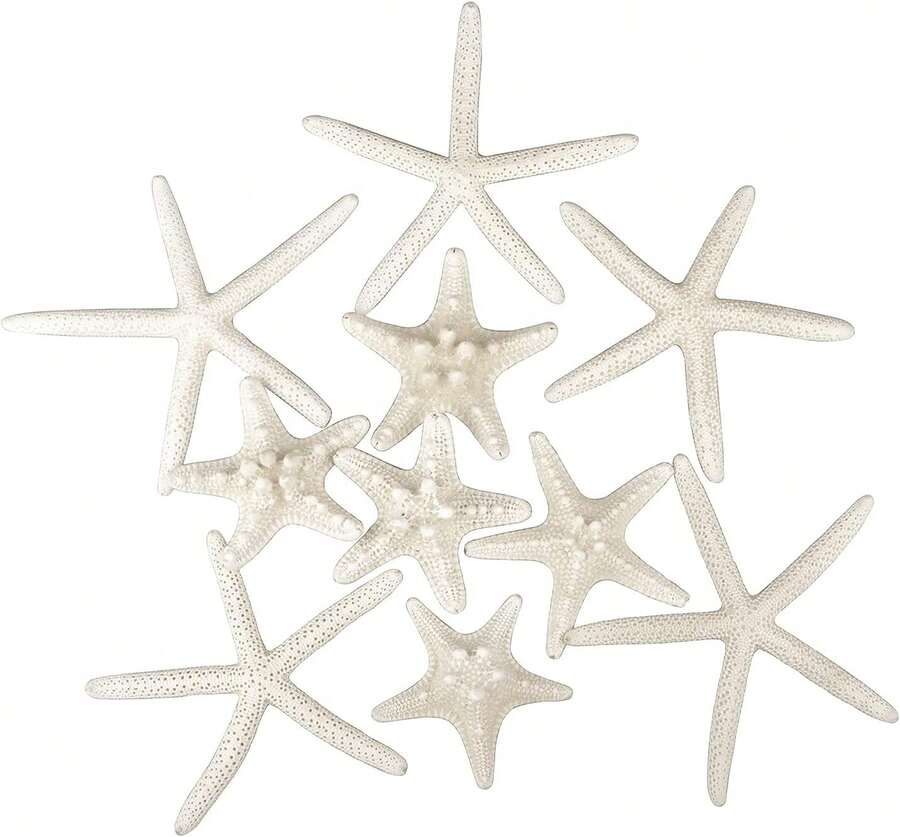 Jangostor 12 PCS Starfish 2-6 Inch Mixed Starfish Natural Seashells Starfish Star Fish Shells Decorations Perfect For Wedding Decor Beach Theme Party, Home Decorations, DIY Crafts, Fish Tank - White - View 1