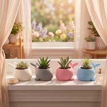 Cute Whale Succulent Planter Pot, Mini Animal Flower Pot For Small Plants, Cactus, Air Plants, Desktop Nursery Coastal Home Decor - A - View 8