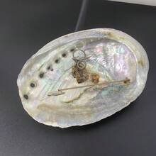 1 cái/5 cái (3,14-4,3 inch) Bát vỏ bào ngư lớn, Lư hương vỏ bào ngư tự nhiên, Dùng để đốt cây xô thơm - Bộ - Xem 6