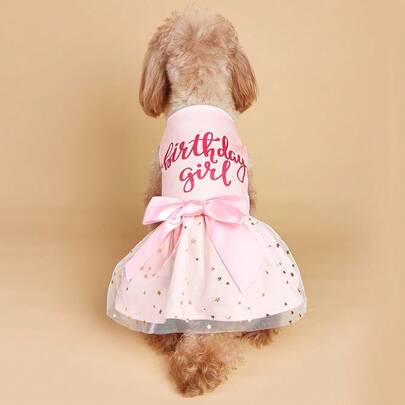 1pc Birthday Girl Pet Dog Dress, For Small/Medium Dog Cat Birthday Party Outfit, Fashionable Photo Shoot Attire, Breathable & Comfortable