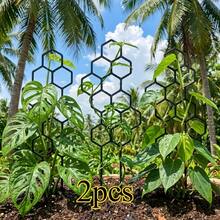 2个14.96 x 5.91英寸蜂窝状植物支架,防锈金属框架,适用于盆栽藤蔓和花卉,节省空间的室内/室外园艺支撑,BEMM - 2個 - 查看 7