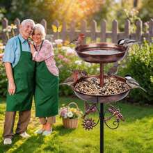 GROWSUN 1Pc Iron Bird Bath & Feeder 2-In-1, Vintage Outdoor Rust-Proof 5-Claw Stable Ground Stake, Garden Decor, Bird Drinking & Bathing Stand, Easy Clean, All-Season Outdoor & Holiday Decoration. - A - 查看 7