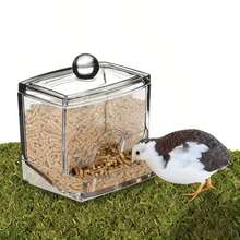 2 piezas Comedero y bebedero para pollos, fácil instalación, limpieza sencilla, sin necesidad de electricidad, diseño eficiente, también apto para codornices, loros, palomas, herramienta esencial para aves de corral - 2 piezas - Ver 9