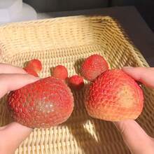 1个2026新款创意逼真荔枝造型慢回弹减压玩具，慢回弹配件，柔软可爱，完美礼物 - 趣味礼物、生日礼物、节日礼物、儿童礼物 - 彩色 - 查看 5