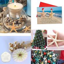 Jangostor 12 PCS Starfish 2-6 Inch Mixed Starfish Natural Seashells Starfish Star Fish Shells Decorations Perfect For Wedding Decor Beach Theme Party, Home Decorations, DIY Crafts, Fish Tank - White - View 8