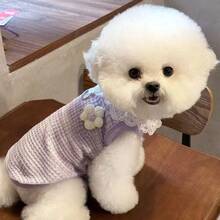 1pc Fashionable Pet Apparel Breathable Vest, Cute Bear Design For Cats & Small Dogs, Lightweight Vest For Pets In Spring/Summer, Elastic And Leash Attachable - Purple - View 4