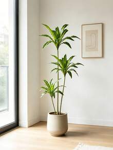 Kmitang Cây Dracaena nhân tạo cỡ lớn 80-165cm, cây cọ nhựa giả, lá nhiệt đới màu Tequila, cảm giác như thật, lá gỗ Brazil cao, lá ngô giả màu xanh lá cây, dùng trang trí nhà cửa, sân vườn, văn phòng (không kèm chậu), 1 cây. - màu xanh lá - Xem 11