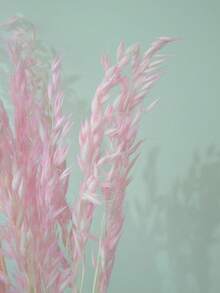 16/31/61/81件組人造白色燕麥花束，漂白仿真燕麥麥稈，適用於婚禮聖誕裝飾、DIY家居裝飾、小型人造花束、蛋糕裝飾 - 淺粉紅色燕麥 - 查看 2