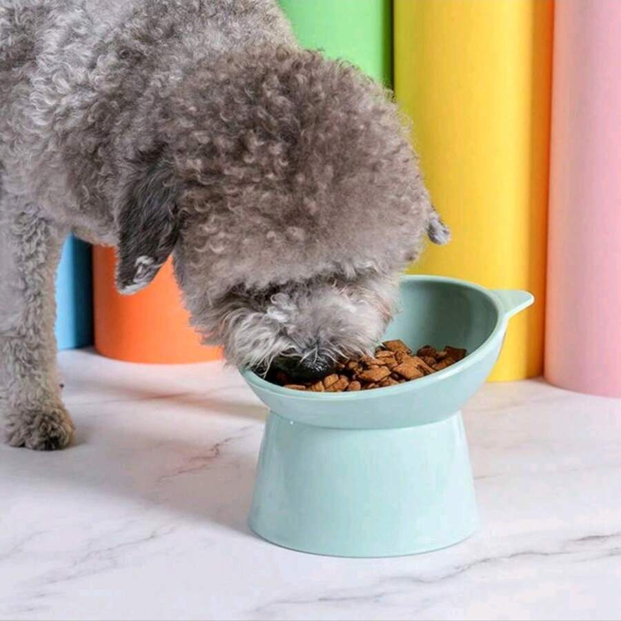 1pc Pet Feeding Bowl With Inclined Rim For Neck Protection, Large Diameter Dog/Cat Food/Water Bowl Made Of PP Material, Anti-Spill Feeding Dish - 100ml - View 1