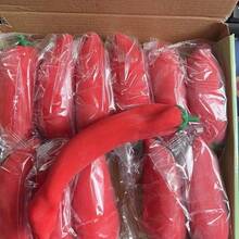 1个随机发货，成人派对玩具，弹力回弹仿真蔬菜TPR减压挤压玩具，辣椒造型，适合作为节日礼物、趣味可爱礼物、生日礼物、复活节礼物、万圣节礼物、圣诞节礼物、派对礼物、软萌玩具、捏捏乐、捏捏乐减压玩具、Nee Doh、饺子捏捏乐 - 辣椒 - 查看 4