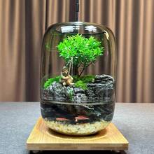 Đá trang trí bể cá, đá trang trí bể cá màu be, lớp nền sỏi cho cảnh quan thủy sinh, trang trí bể cá, cây cảnh và đồ thủ công mỹ nghệ. - A - Xem 9