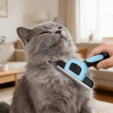 Bàn chải chải lông thú cưng có thể tháo rời, bàn chải làm sạch đa chức năng cho thú cưng, dễ sử dụng cho mèo và chó. - Nhiều màu - Xem 4