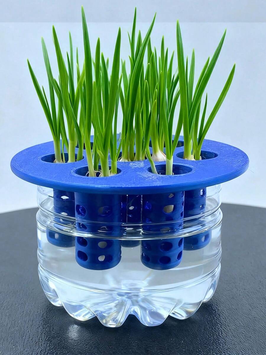 1 khuôn in 3D dùng để trồng cây thủy canh, 1 củ tỏi, 1 củ hành lá, bộ dụng cụ làm vườn tại nhà tự làm. - Nhiều kiểu dáng - Xem 1