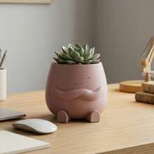 Cute Hugging Face Succulent Planters, Small Indoor Outdoor Plant Pots For Desk, Office, Home & Garden Decor, White Gray Pink - A - View 9
