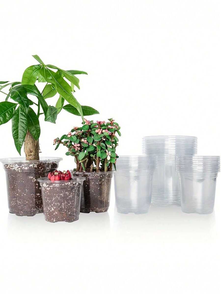 3 chậu ươm cây bằng nhựa trong suốt có lỗ thoát nước - Chậu trồng cây bền, nhẹ, thích hợp cho cây con và hoa. - A - Xem 1