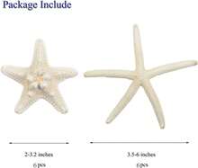 Jangostor 12 PCS Starfish 2-6 Inch Mixed Starfish Natural Seashells Starfish Star Fish Shells Decorations Perfect For Wedding Decor Beach Theme Party, Home Decorations, DIY Crafts, Fish Tank - White - View 3
