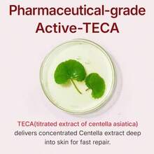Madeca Cream Time Reverse | Anti-Aging Moisturizer For Wrinkles & Dry Skin | Cica + Hyaluronic Acid | Korean Skincare | 1.69 Fl.Oz,Mother's Day Gift - Hyaluronic Acid - 查看 5