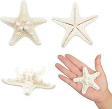 Jangostor 12 PCS Starfish 2-6 Inch Mixed Starfish Natural Seashells Starfish Star Fish Shells Decorations Perfect For Wedding Decor Beach Theme Party, Home Decorations, DIY Crafts, Fish Tank - White - View 5