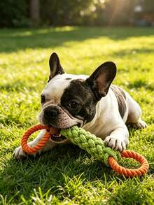 Jouet à mâcher durable pour grands chiens, grand jouet noué, jouet à mâcher interactif convenant aux petits, moyens et grands chiens, cadeau de la Saint-Valentin pour animaux de compagnie, jouet à mâcher durable pour le nettoyage des dents et le jeu de tir à la corde - Multicolore - Voir 3