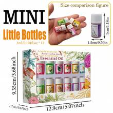 水溶性香氛精油套組，迷你 3ml 瓶裝 12 款花香與清新香調，適用於居家香氛除臭及其他場景，完美禮品套組 - 12 - 查看 3