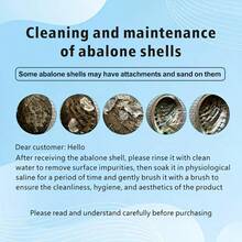 1 cái/5 cái (3,14-4,3 inch) Bát vỏ bào ngư lớn, Lư hương vỏ bào ngư tự nhiên, Dùng để đốt cây xô thơm - Bộ - Xem 11