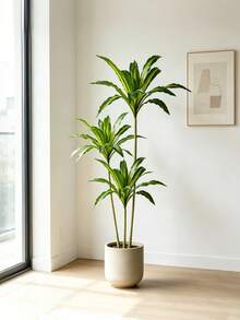 Kmitang Cây Dracaena nhân tạo cỡ lớn 80-165cm, cây cọ nhựa giả, lá nhiệt đới màu Tequila, cảm giác như thật, lá gỗ Brazil cao, lá ngô giả màu xanh lá cây, dùng trang trí nhà cửa, sân vườn, văn phòng (không kèm chậu), 1 cây. - màu xanh lá - Xem 9