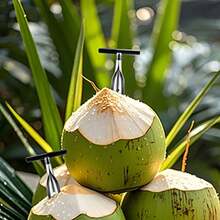 1/2pcs Stainless Steel Coconut Opener Tool Set, With Straw And Cleaning Brush, Easy To Open Fresh Coconut, Essential Kitchen Tool For Coconut Water - Silver - View 6