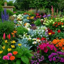 Flower Seeds - View 3