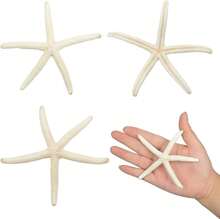 Jangostor 12 PCS Starfish 2-6 Inch Mixed Starfish Natural Seashells Starfish Star Fish Shells Decorations Perfect For Wedding Decor Beach Theme Party, Home Decorations, DIY Crafts, Fish Tank - White - View 6