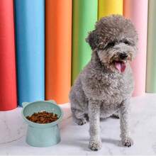 1pc Pet Feeding Bowl With Inclined Rim For Neck Protection, Large Diameter Dog/Cat Food/Water Bowl Made Of PP Material, Anti-Spill Feeding Dish - 100ml - View 4