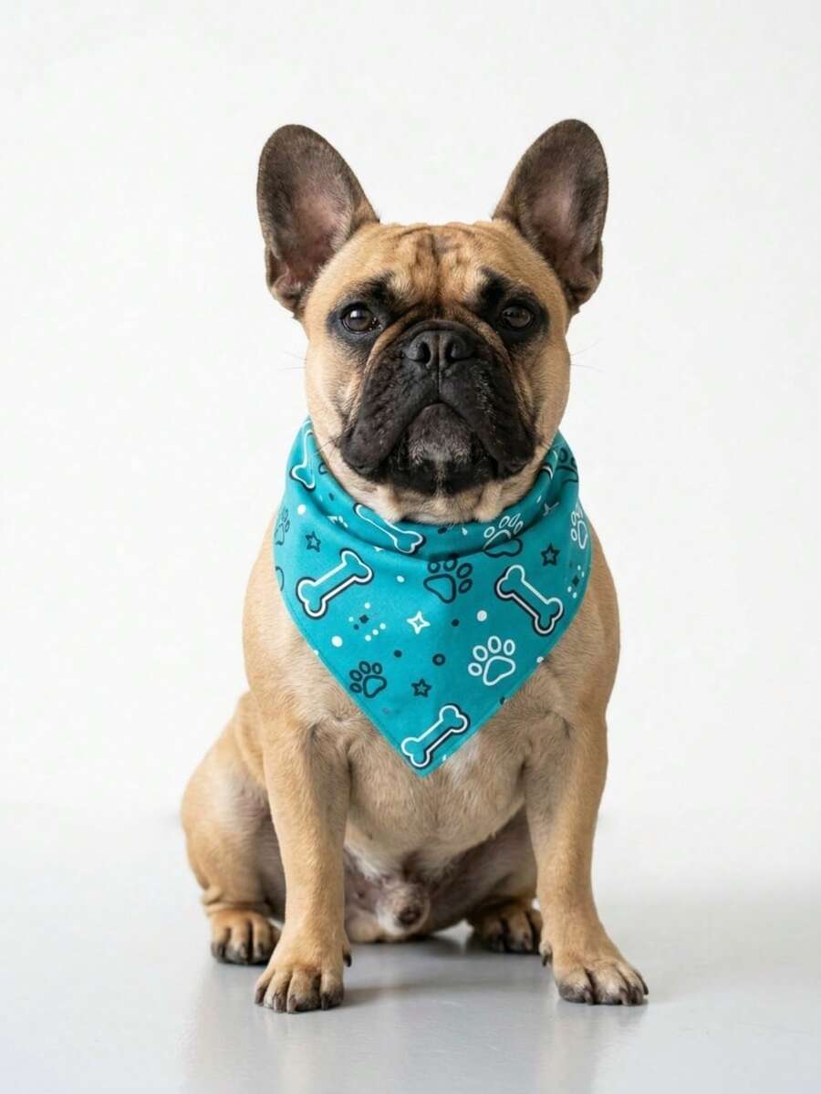 Paliacate para Perro Ajustable Tipo Bandana con Estampado de Huesos y Huellitas, Pañuelo de Algodón Suave para Mascotas, Accesorio para Cachorros y Perros Medianos y Grandes, Ideal para Paseos, Fotos y Uso Diario - Turquesa - Ver 1
