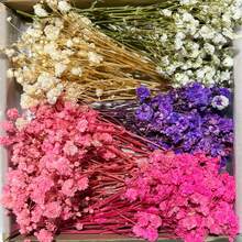 Bouquet de fleurs de Gypsophila réalistes - Style bohème, pour remplissage de vase, décoration de mariage, accents pour la maison et le bureau, fête, jardin, confection de cartes et artisanat DIY - Durable, très réaliste - Multicolore - Voir 23