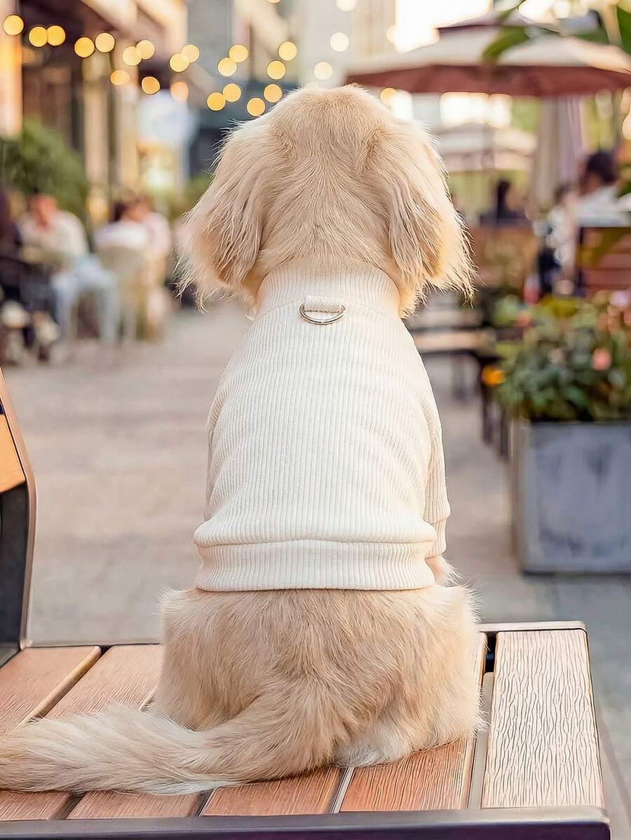 PETCIRCLE 1件宠物服装,室内外皆宜,欧美韩风,适合贵宾犬、泰迪犬、小型犬和幼犬,休闲舒适纯色连帽衫 - 彩色 - 查看 1