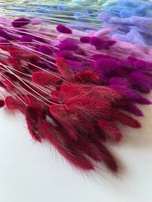 60/120/240pcs Bohemian Style Artificial Flowers - Bunny Tail Pampas Grass - Multi-Color, Dandelion Flowers - Home, Wedding, Office, Cafe Decor - Valentine's Day And Mother's Day Gifts - Red - View 7