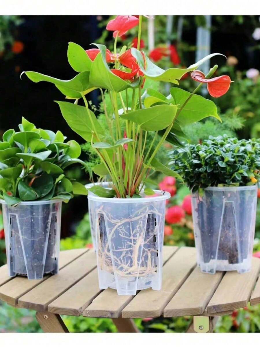 Self-Watering Orchid Pots, Root Regulation, Breathable With Drainage Opening, White Transparent Exclusive Pot, 3pcs Resin Indoor/Outdoor Suitable For Planting - Round Design, Includes Other Components, Self-Watering Function - A - View 1