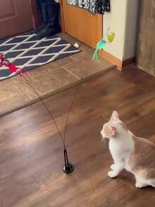 Cat Toy With Realistic Bird Chirping Sound, Simulates Hunting And Playing, Random Colors And Styles - Stimulates Cat's Hunting Instinct - Multicolor - View 6