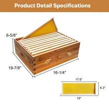 Caja de colmena Langstroth de cedro mediana de 10 cuadros con ventana de observación acrílica – Preensamblada, recubierta al 100% con cera de abejas, incluye cuadros y láminas de cera – Montaje fácil a presión para apicultura - B - Ver 8