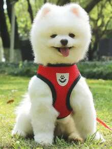 1 Set Breathable & Comfortable Polyester Pet Leash With Cute Teddy Bear Pattern, Suitable For Outdoor Walking Small Teddy Dogs, Can Be Used With Dog Collar - Khaki - View 3