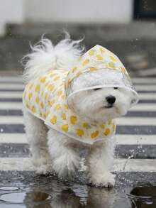 LUCKIE PAL 1pc Waterproof Raincoat With Cute Duck Print, Suitable For Chihuahua Small Dogs, Pet Rainwear For Cats And Dogs Going Out In Rainy Days - Multicolor - View 4