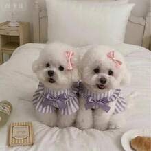 Váy công chúa kiểu công chúa cho mèo xanh Silver Lagdoll và chó cưng Golden Lagdoll, trang phục mùa hè nhẹ nhàng dành cho chó nhỏ. - Màu tím - Xem 5