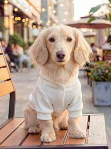 PETCIRCLE 1件宠物服装，室内外皆宜，欧美韩风，适合贵宾犬、泰迪犬、小型犬及幼犬，休闲舒适连帽衫 - 白色 - 白色 - 查看 3
