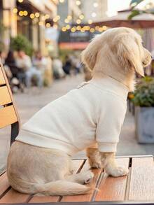 PETCIRCLE 1件宠物服装，室内外皆宜，欧美韩风，适合贵宾犬、泰迪犬、小型犬和幼犬，休闲舒适纯色连帽衫 - 彩色 - 查看 2