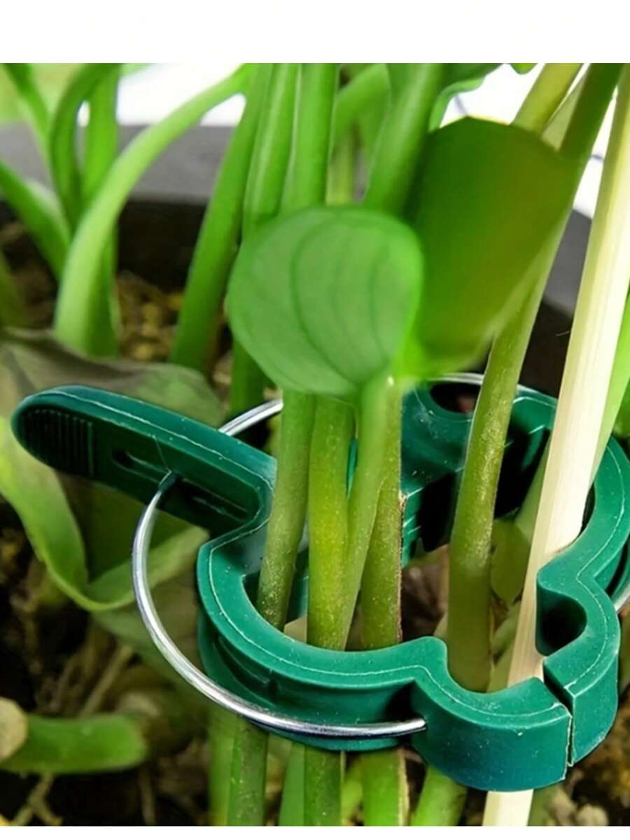 31pcs Outdoor Gardening Plant Ties Set, Flower Fixing Clips Gardening Clips Set/Gardening Clips/Plastic Tomato Plant Clips - / - View 1