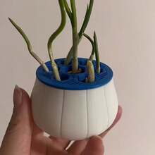 1 củ tỏi, hành lá, dùng trồng tại nhà, thủy canh, hẹ, trang trại tái tạo, bộ bao bì đen trắng dễ nhận biết, có thể tái sử dụng, trồng được nhiều, chậu trồng tái tạo, thu hoạch theo chu kỳ đơn giản tại nhà, hộp thủy canh không đất, trồng quanh năm. - A - Xem 3