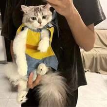Pet Backpack, Breathable Travel Portable Front Chest Bag, 4-Leg Backpack, Dog Carrier, Cat Carrier, Large Capacity, Easy To Clean, Highly Breathable - Multicolor - View 6