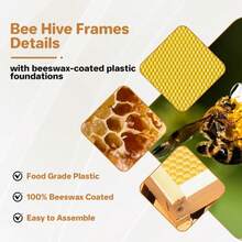 Caja de colmena Langstroth de cedro mediana de 10 cuadros con ventana de observación acrílica – Preensamblada, recubierta al 100% con cera de abejas, incluye cuadros y láminas de cera – Montaje fácil a presión para apicultura - B - Ver 5