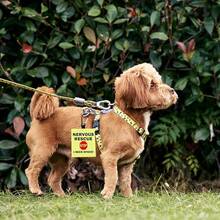 Nervous Dog Alert Hanging Patch Puppy Alert Hanging Patches Nervous Rescue Stop I Need Space Hanging Dog Alert Patches (Nervous Rescue Alert) - NervousRescueAlert - View 8