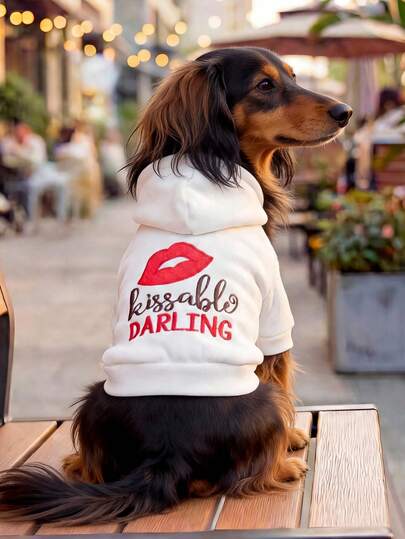 PETCIRCLE 1 bộ quần áo cho thú cưng, trang phục ngoài trời và trong nhà, kiểu dáng Châu Âu và Hàn Quốc dành cho chó Poodle, Teddy, chó nhỏ và chó con, áo hoodie thoải mái thường ngày, món quà đáng yêu cho ngày Valentine.