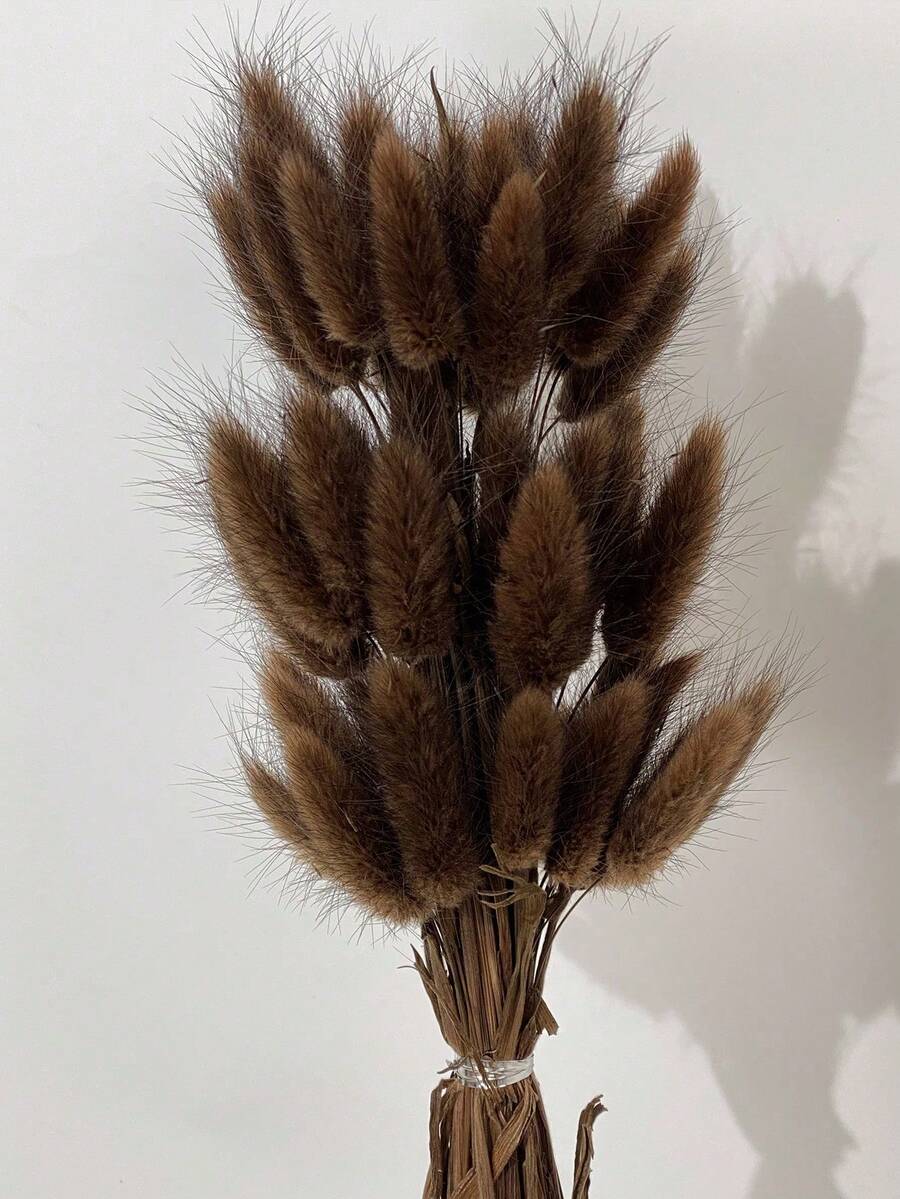 60/120/240支波西米亚风人造花 - 兔尾芦苇草 - 多色,蒲公英花 - 家居、婚礼、办公室、咖啡厅装饰 - 情人节和母亲节礼物 - 咖啡棕 - 查看 1