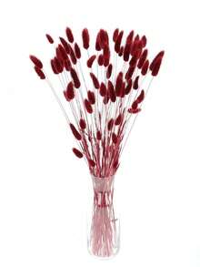 60/120/240pcs Bohemian Style Artificial Flowers - Bunny Tail Pampas Grass - Multi-Color, Dandelion Flowers - Home, Wedding, Office, Cafe Decor - Valentine's Day And Mother's Day Gifts - Red - View 4